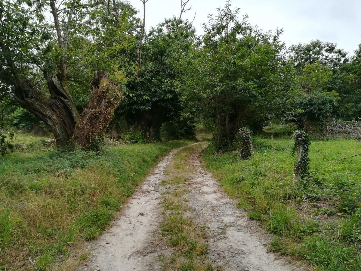 Casa Dos Mestres Sober Zewnętrze zdjęcie